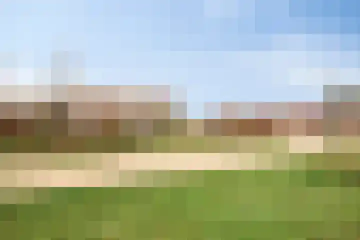 Hortus 10 Rosmalen thumbnail 37