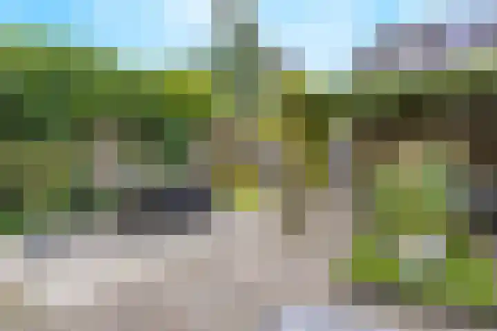 Hortus 32 Ewijk thumbnail 42