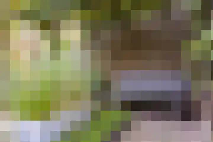 Hortus 32 Ewijk thumbnail 45
