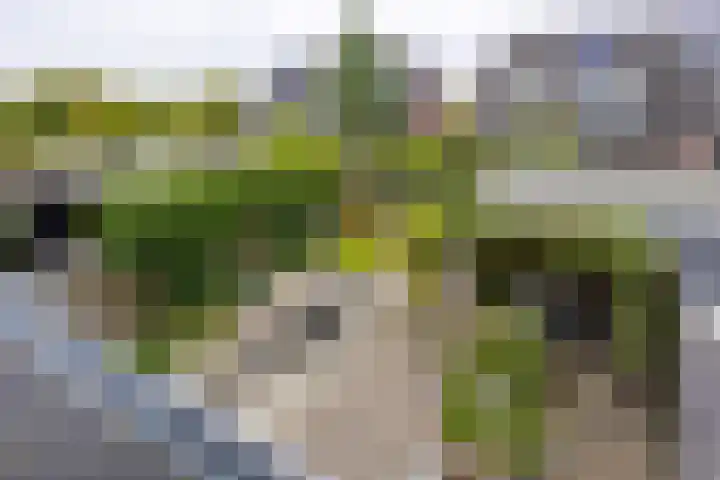 Hortus 32 Ewijk thumbnail 48
