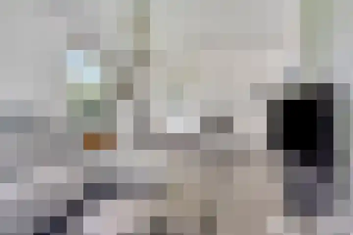 Hostalaan 24 Waalre thumbnail 12