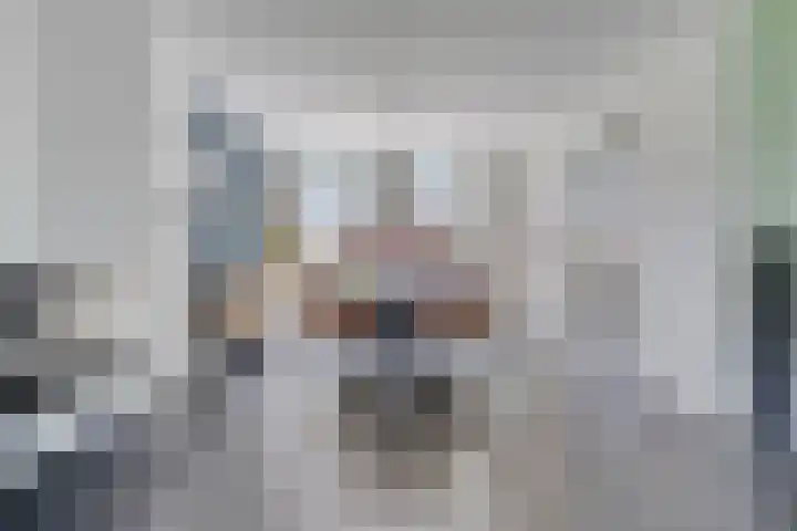 Hostalaan 24 Waalre thumbnail 15