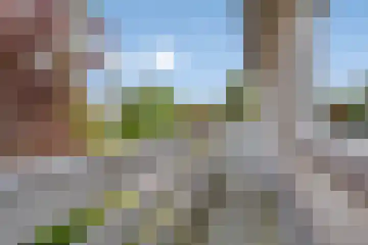 Hostalaan 24 Waalre thumbnail 24