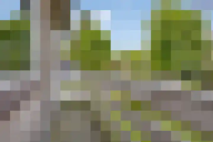 Hostalaan 24 Waalre thumbnail 25