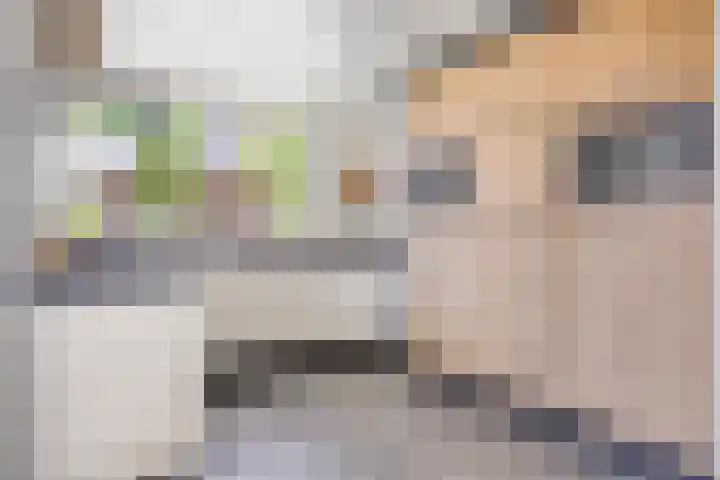 Hostalaan 24 Waalre foto 3