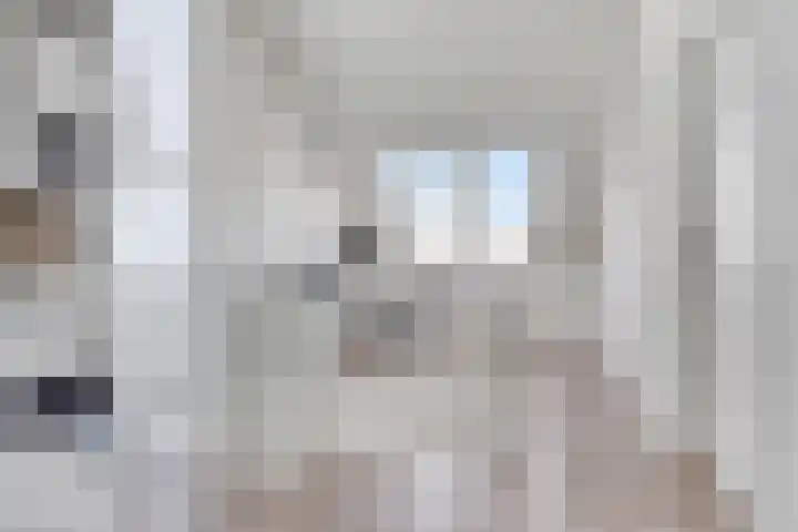Hostalaan 24 Waalre thumbnail 35