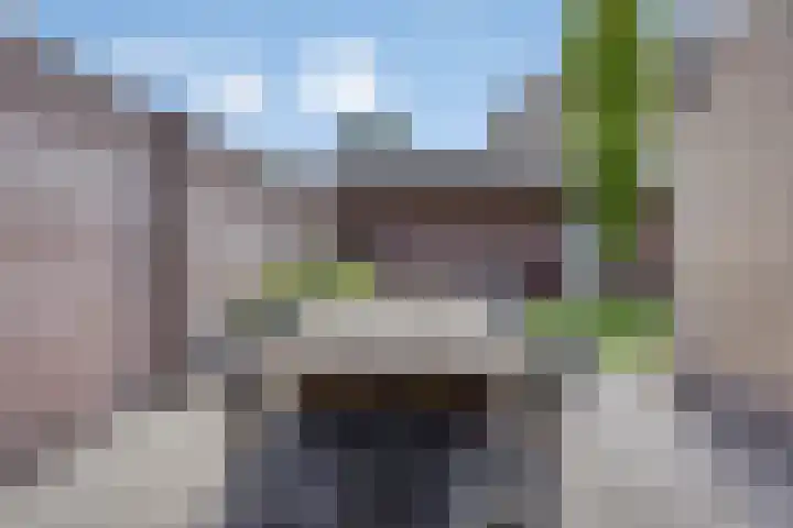 Hostalaan 24 Waalre thumbnail 38