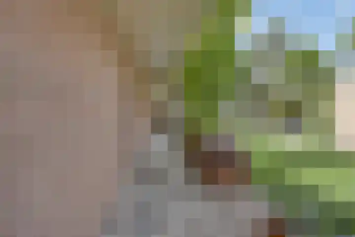 Hostalaan 24 Waalre thumbnail 40