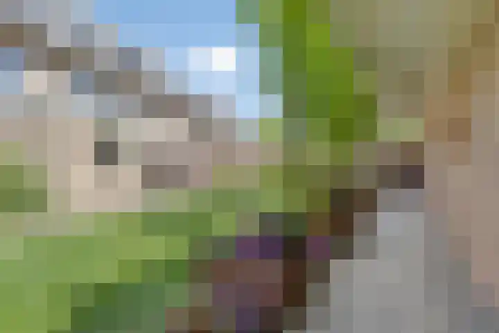 Hostalaan 24 Waalre thumbnail 41