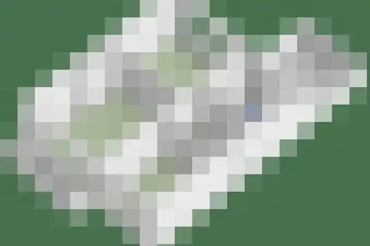 Hostalaan 24 Waalre thumbnail 52