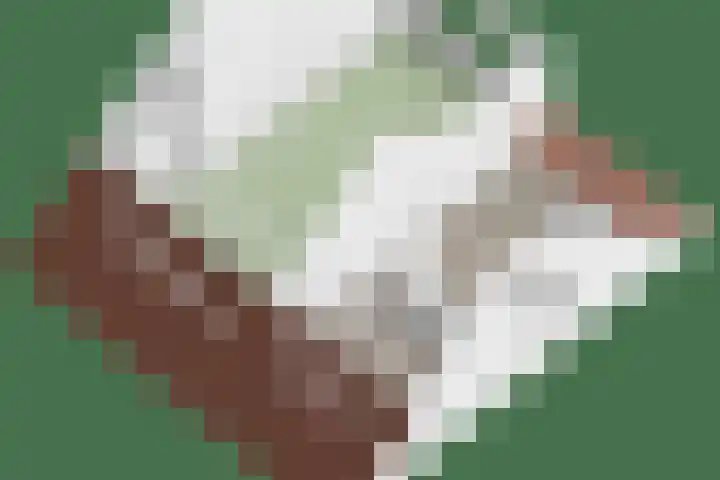 Hostalaan 24 Waalre thumbnail 53