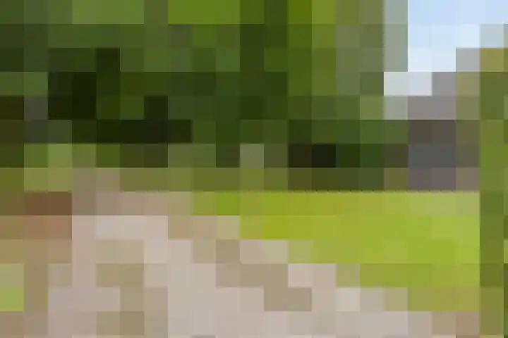 Hosterdstraat 7 Beuningen Gld thumbnail 41
