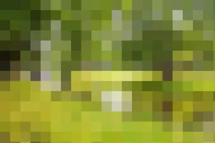 Houdringe 107 Amsterdam thumbnail 25