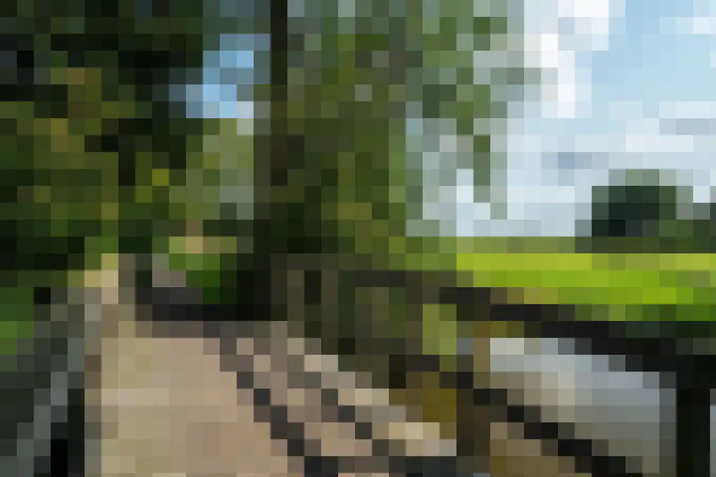 Hounsdyk 6 Goutum thumbnail 100