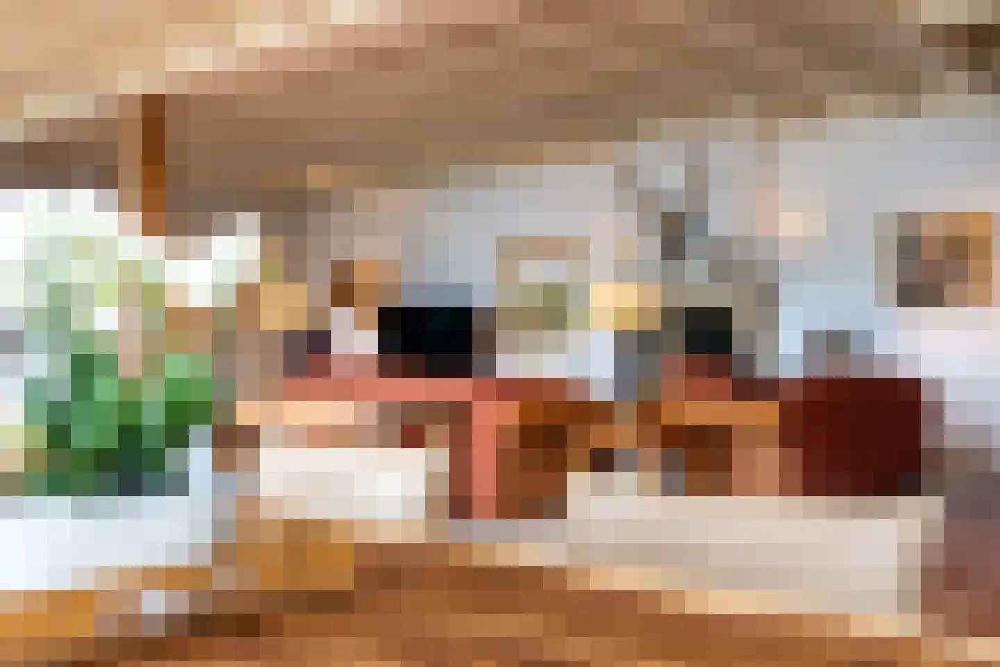 Hounsdyk 6 Goutum thumbnail 19