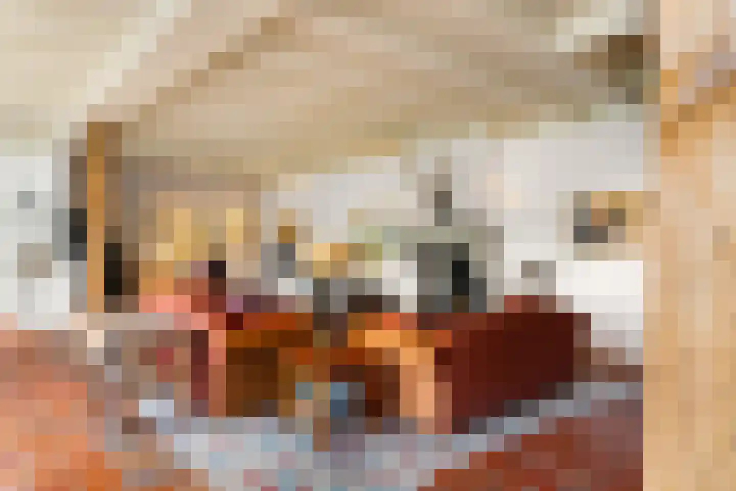 Hounsdyk 6 Goutum thumbnail 22