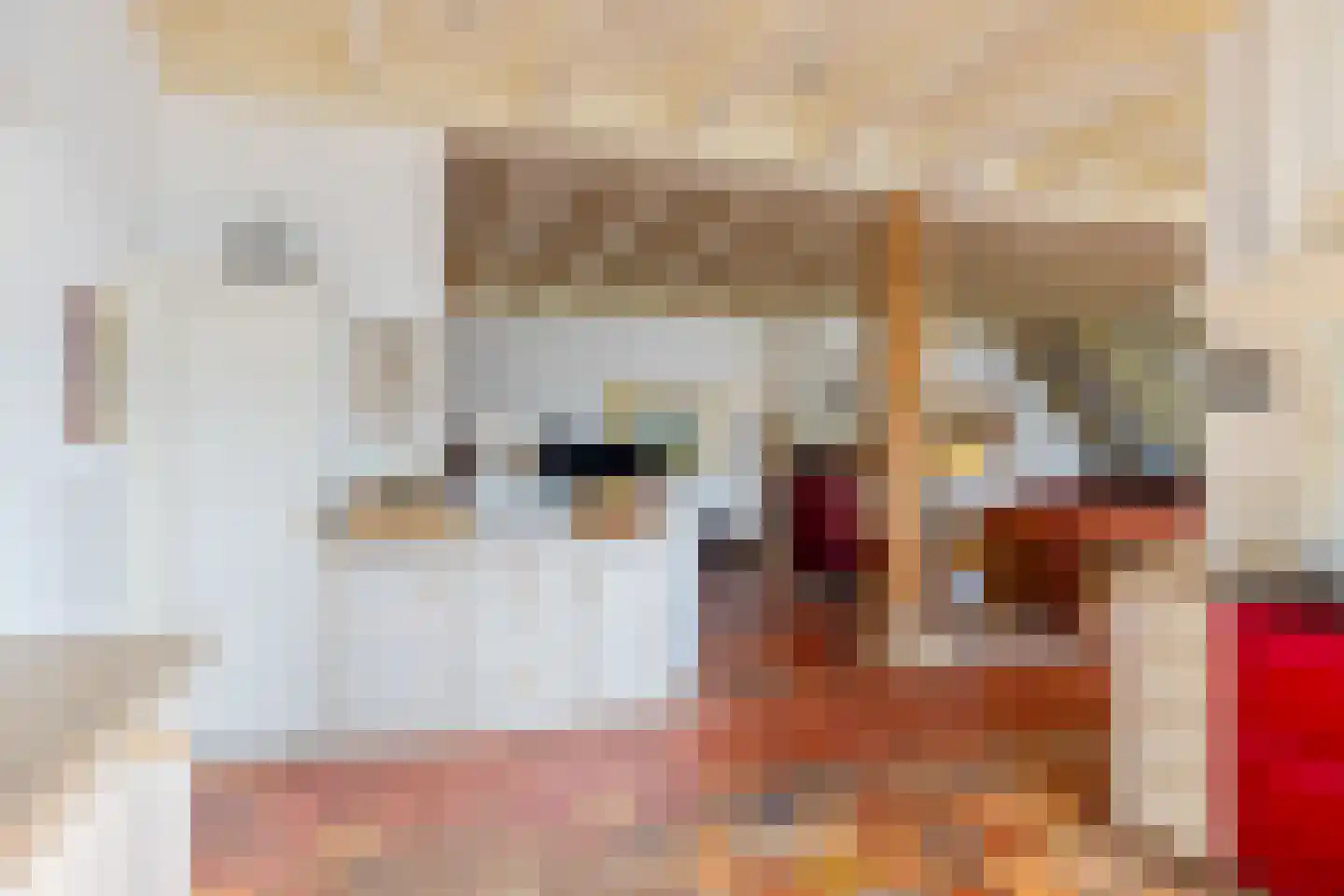Hounsdyk 6 Goutum thumbnail 26