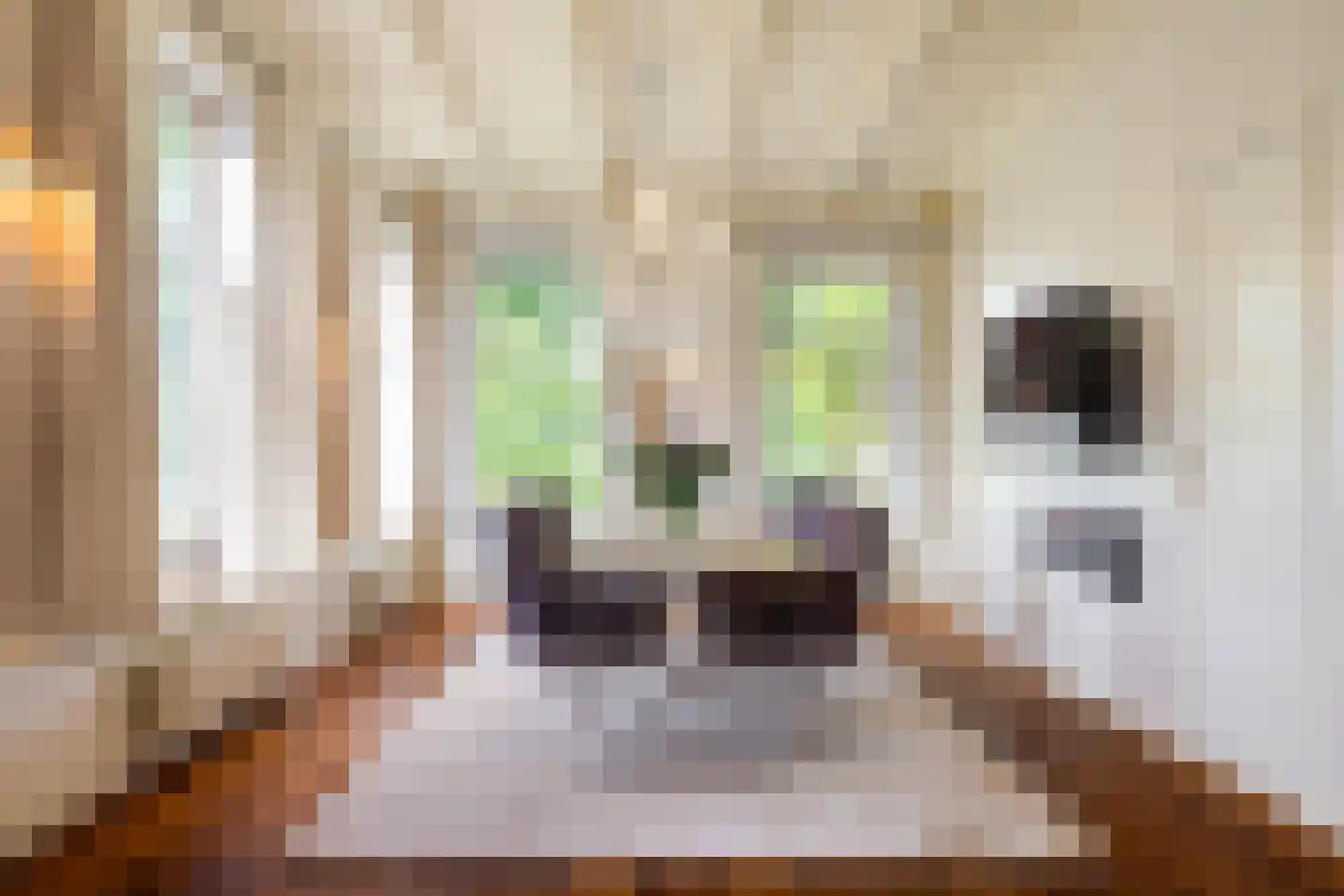 Hounsdyk 6 Goutum thumbnail 28