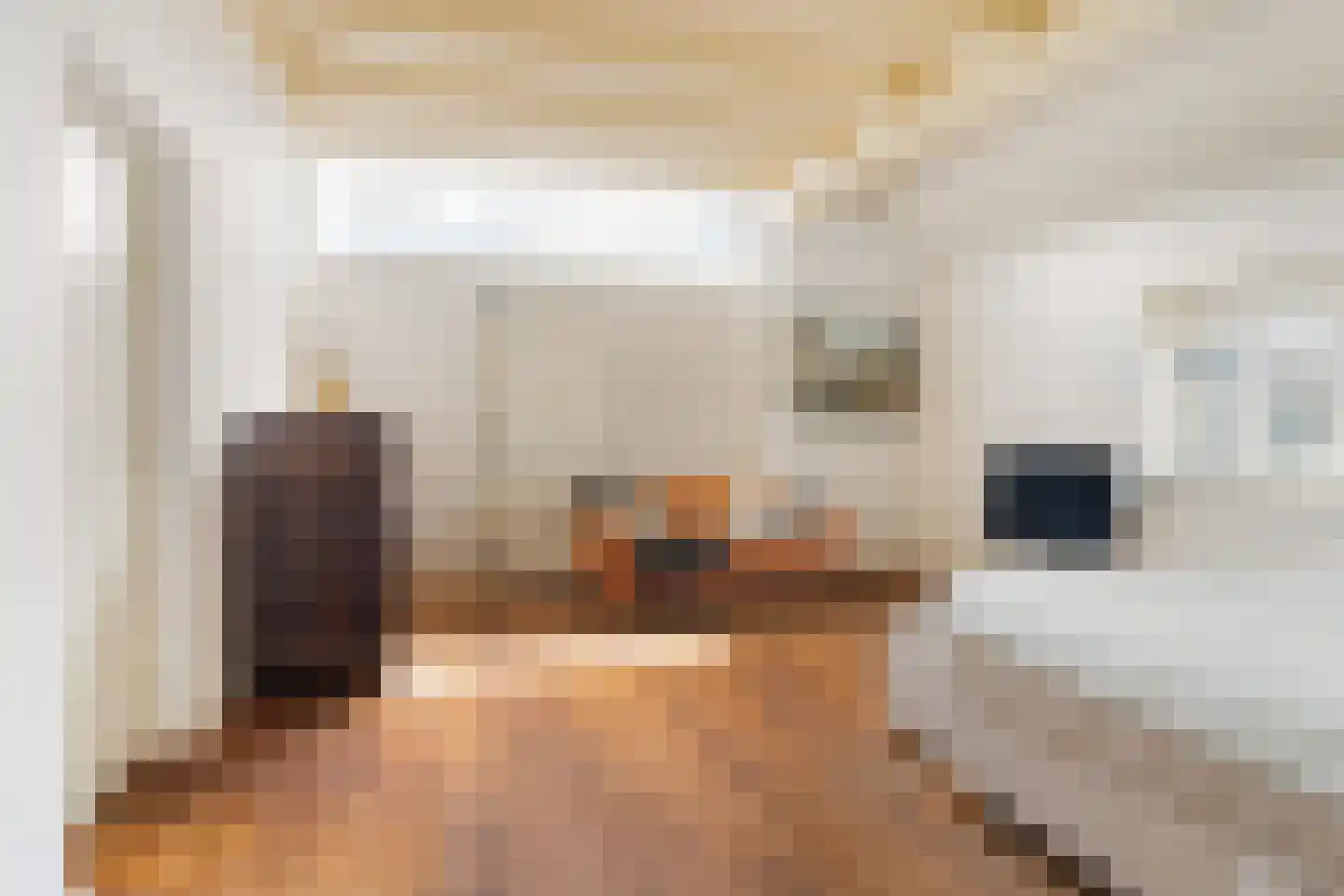 Hounsdyk 6 Goutum thumbnail 36