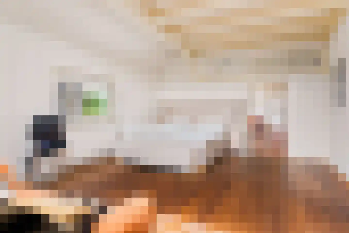 Hounsdyk 6 Goutum thumbnail 37