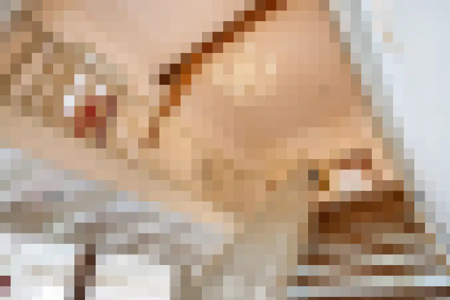 Hounsdyk 6 Goutum thumbnail 44