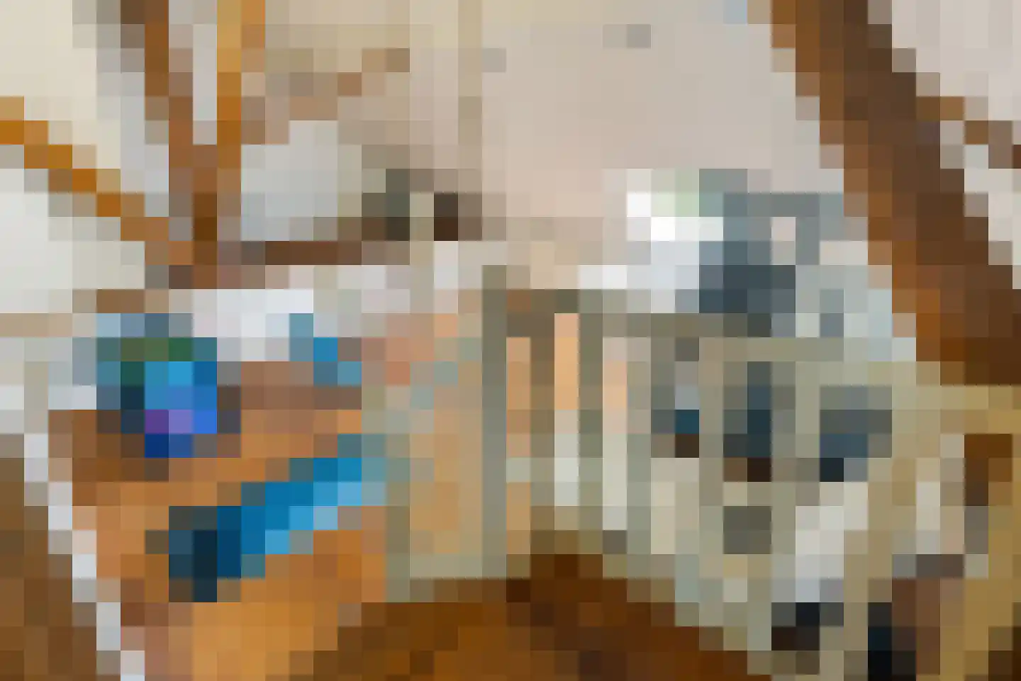 Hounsdyk 6 Goutum thumbnail 50