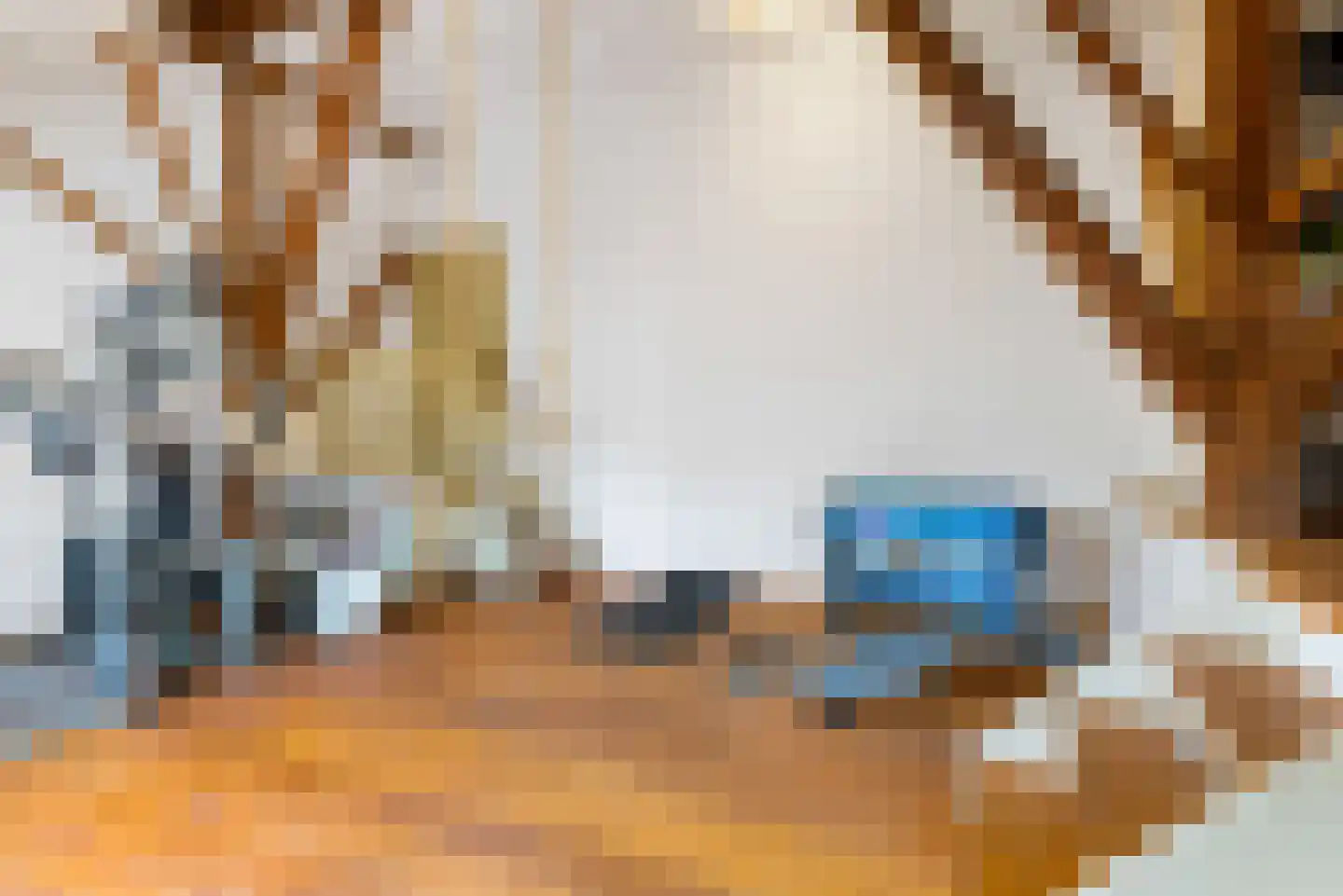 Hounsdyk 6 Goutum thumbnail 51