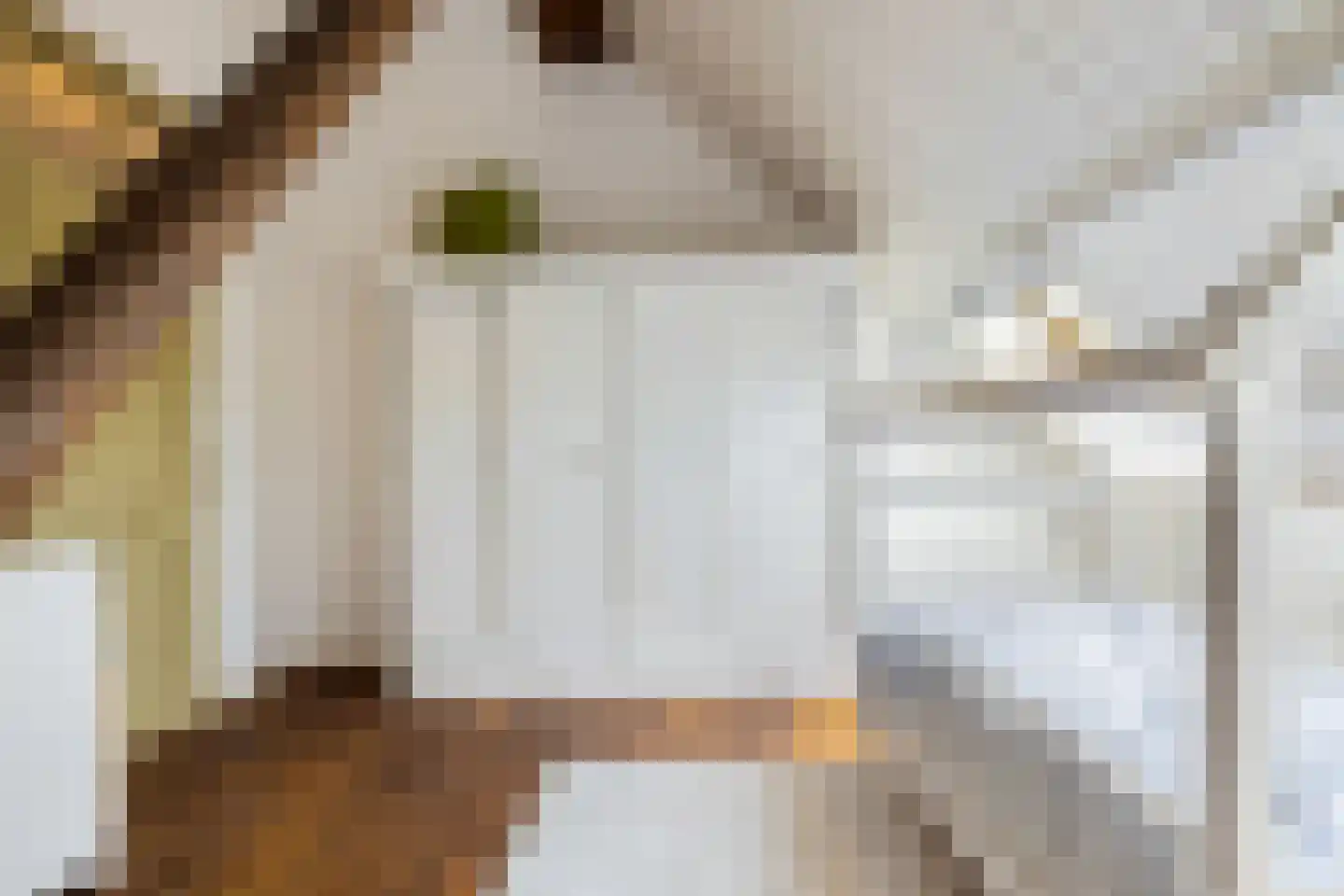 Hounsdyk 6 Goutum thumbnail 54