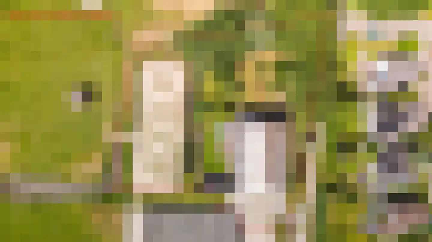 Hounsdyk 6 Goutum thumbnail 6