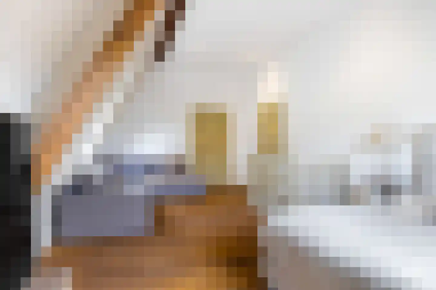 Hounsdyk 6 Goutum thumbnail 60