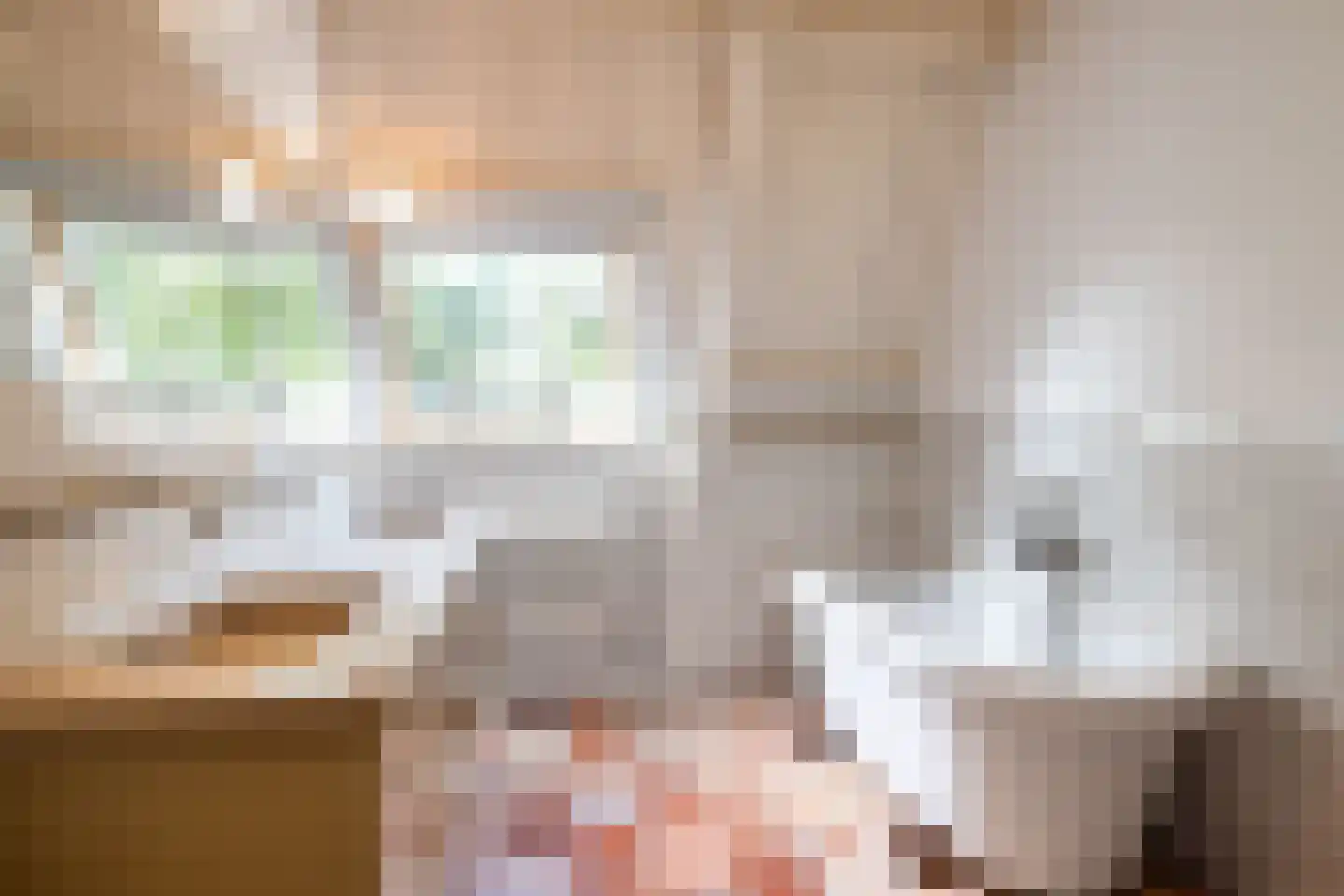 Hounsdyk 6 Goutum thumbnail 62
