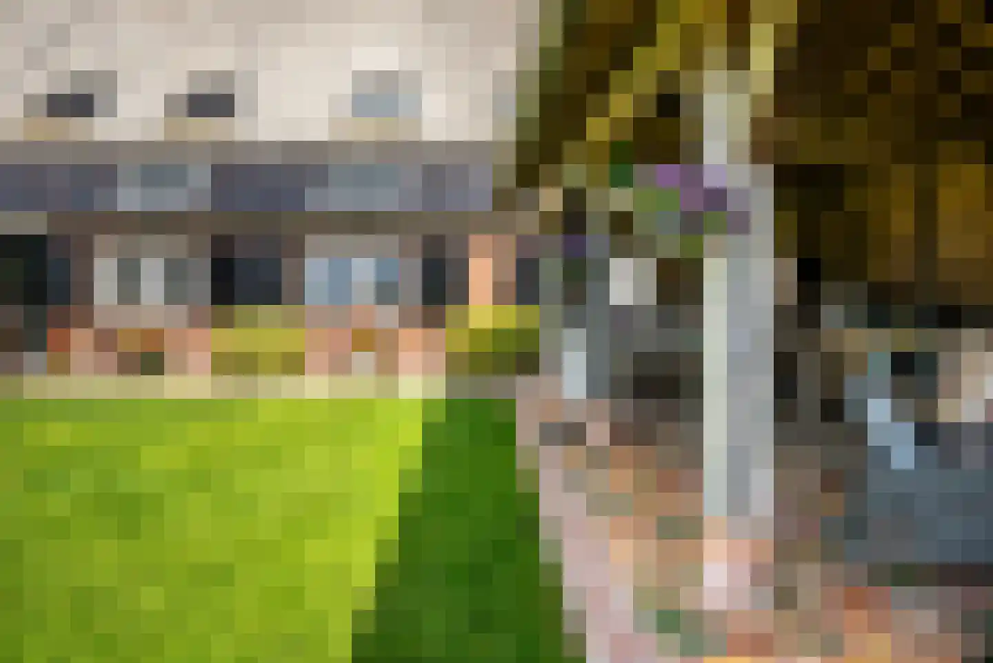 Hounsdyk 6 Goutum thumbnail 68