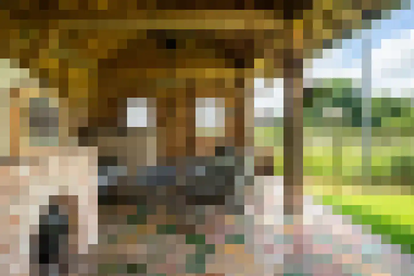 Hounsdyk 6 Goutum thumbnail 71