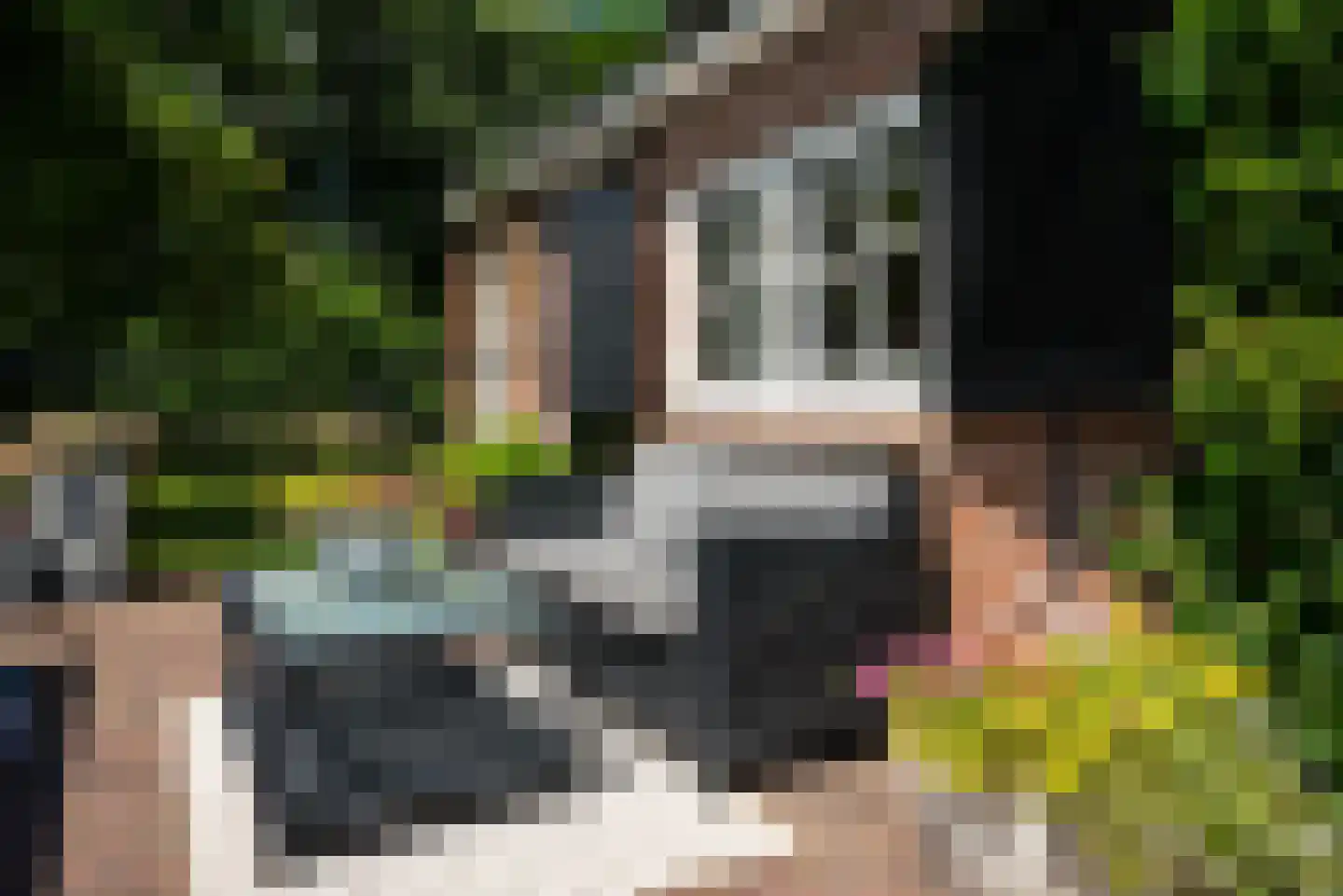 Hounsdyk 6 Goutum thumbnail 76
