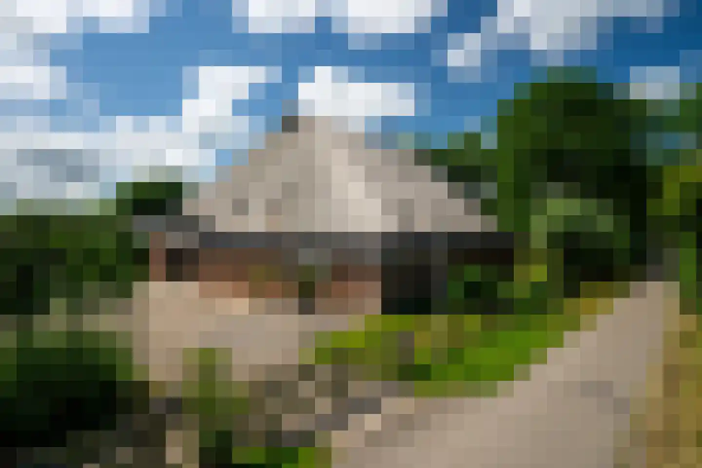 Hounsdyk 6 Goutum thumbnail 8