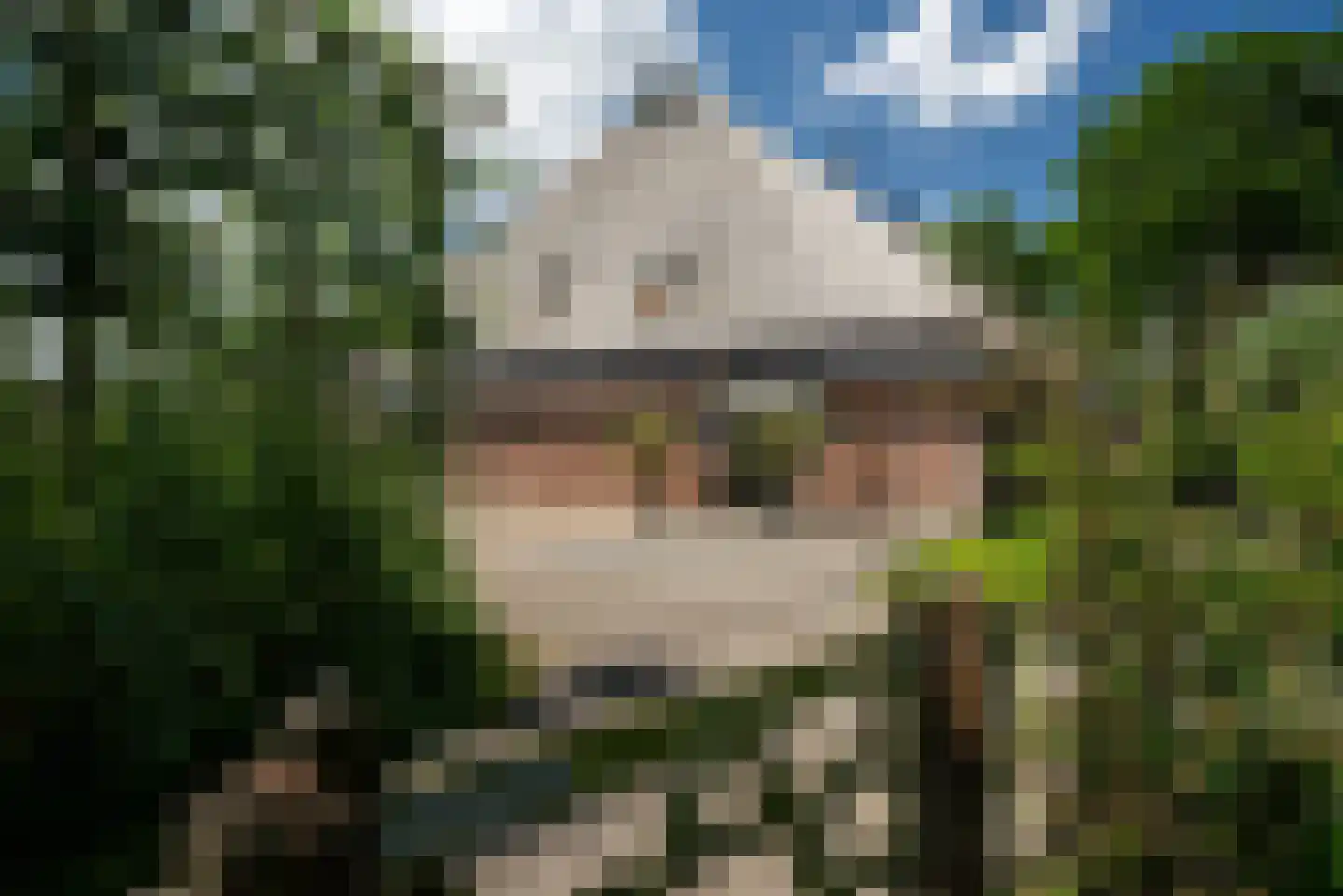 Hounsdyk 6 Goutum thumbnail 83