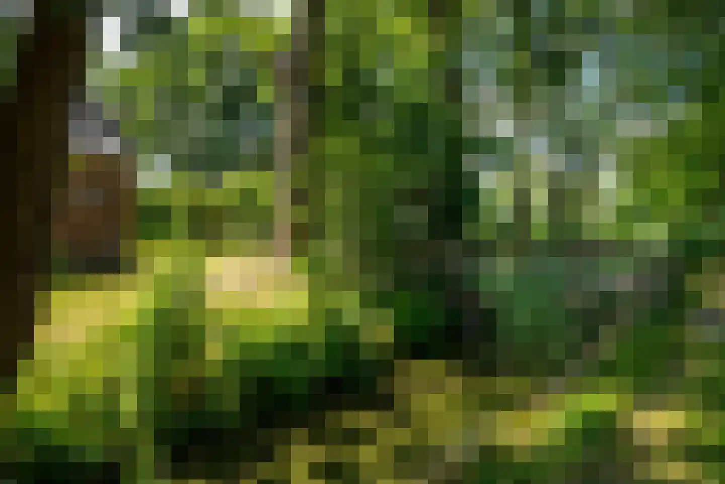 Hounsdyk 6 Goutum thumbnail 85