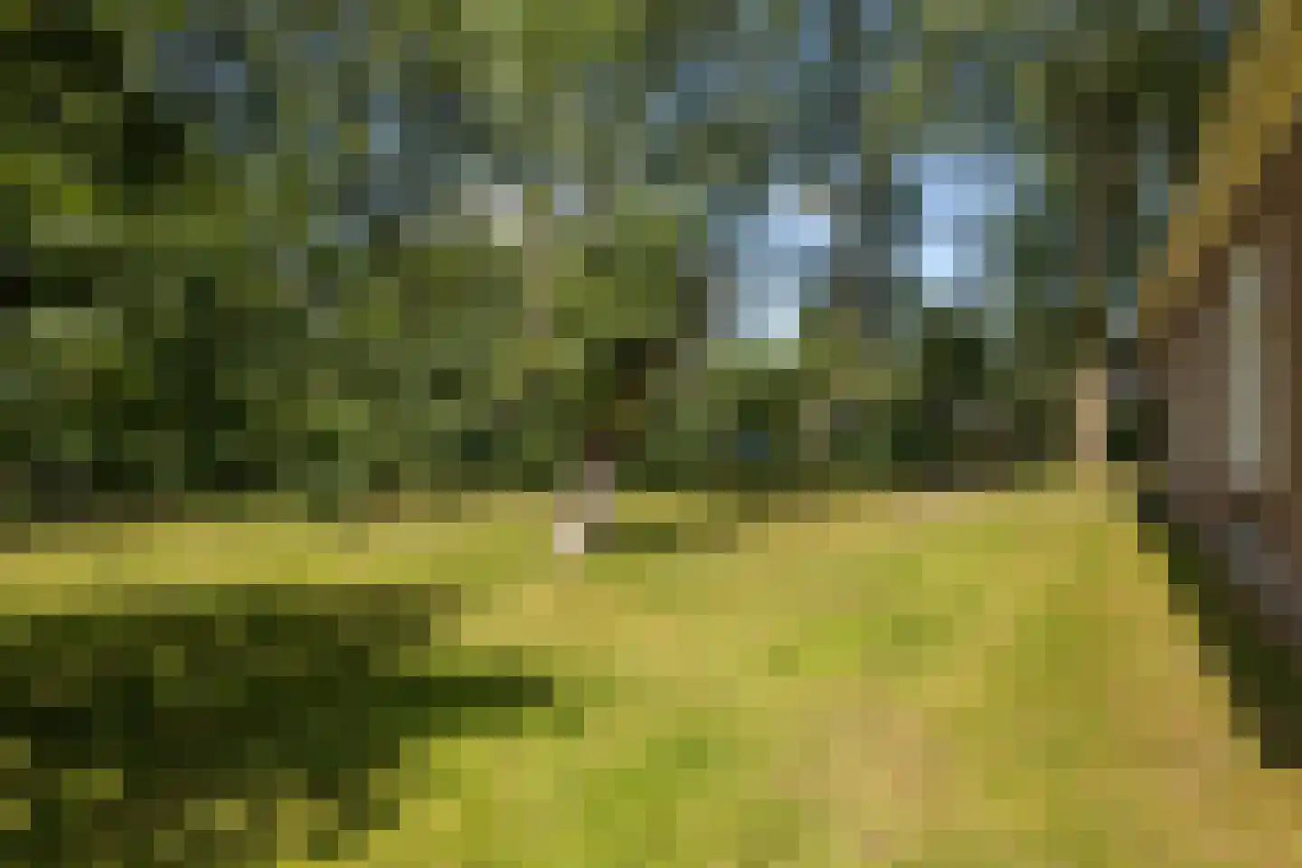 Hounsdyk 6 Goutum thumbnail 90