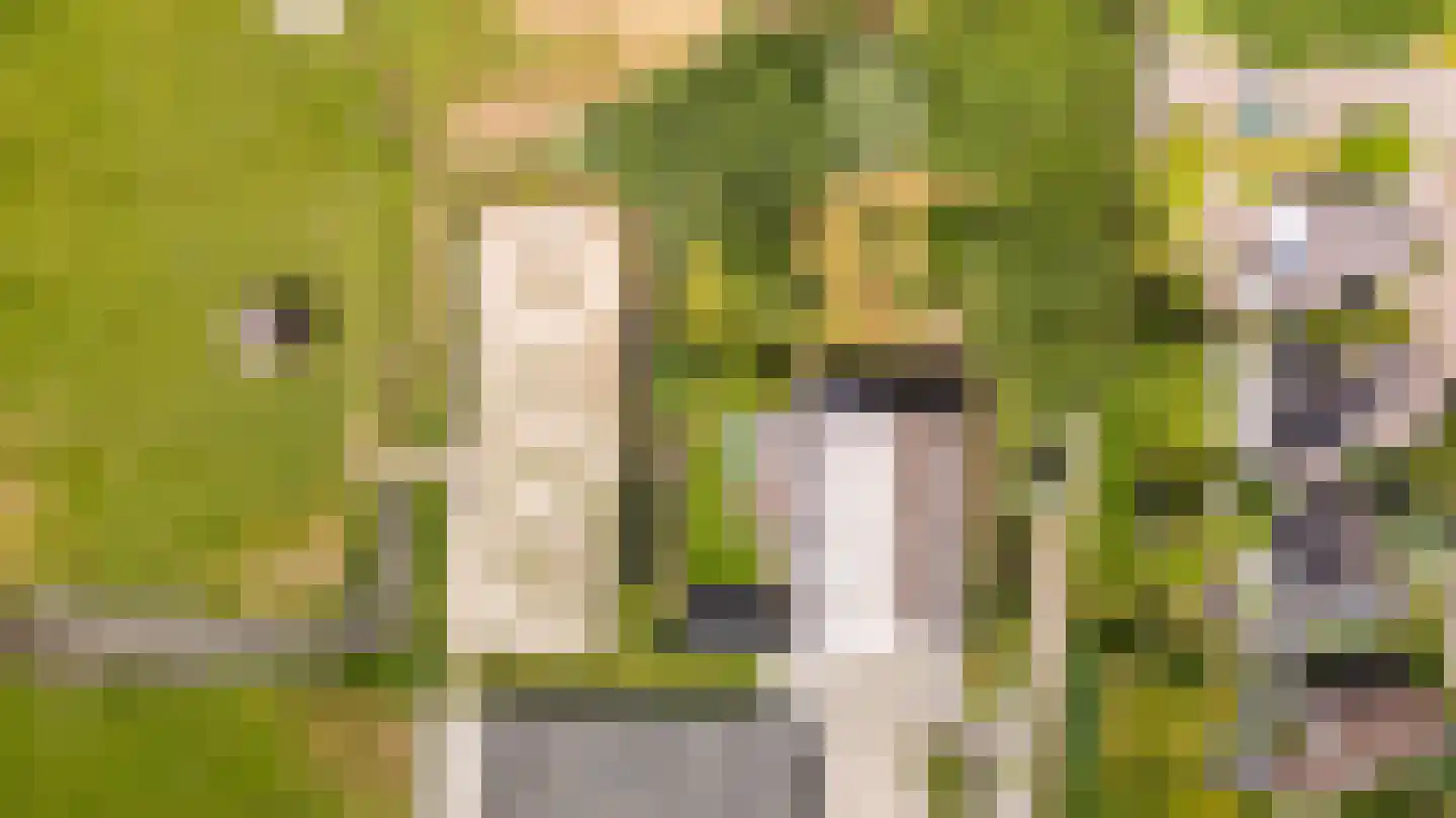 Hounsdyk 6 Goutum thumbnail 94