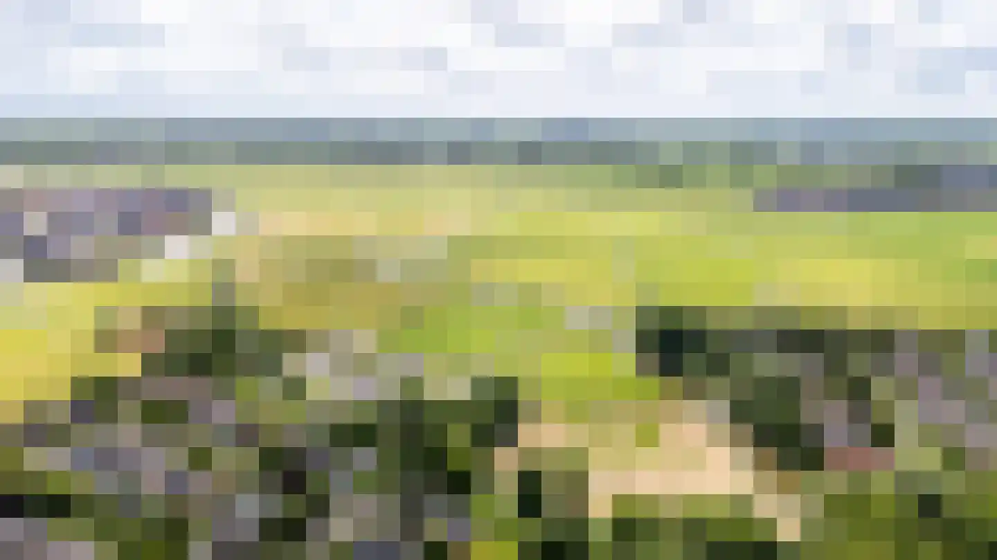 Hounsdyk 6 Goutum thumbnail 95