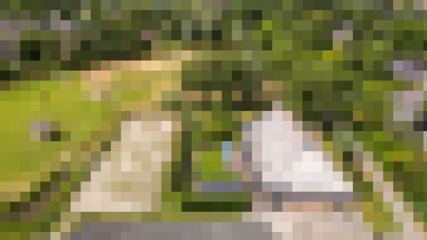 Hounsdyk 6 Goutum thumbnail 96