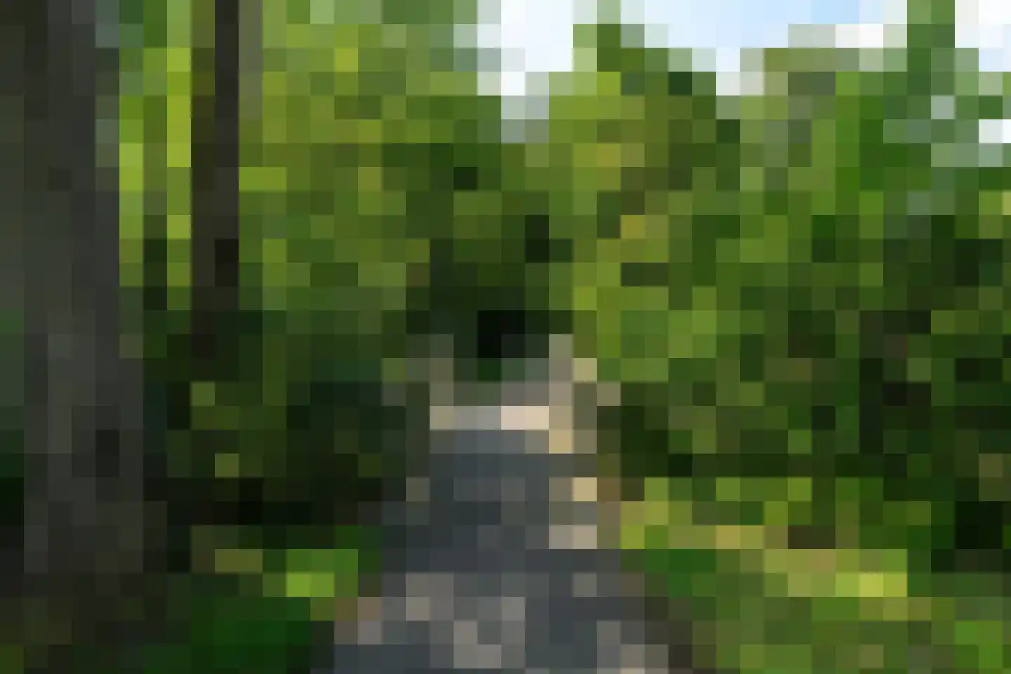 Hounsdyk 6 Goutum thumbnail 98
