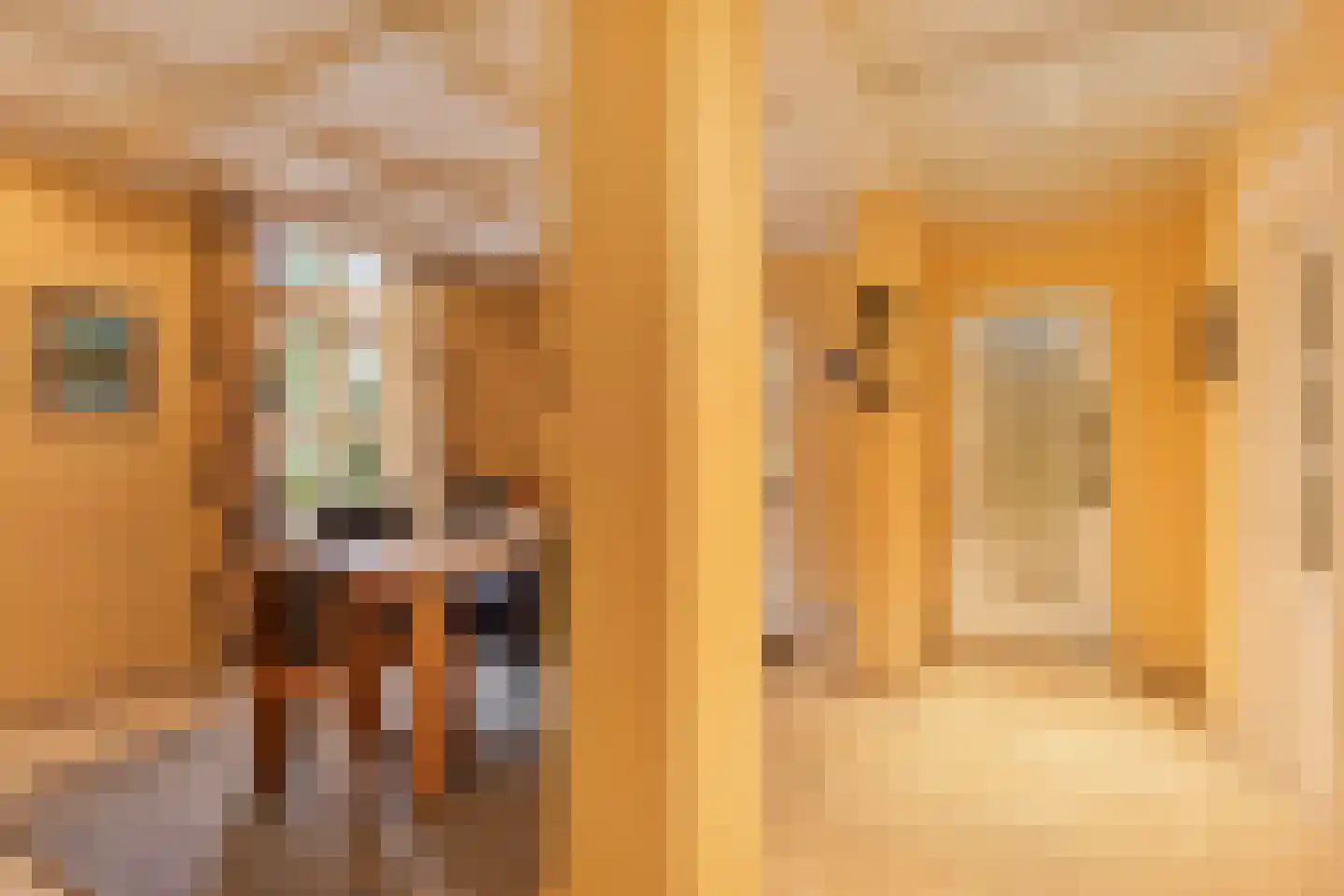 Hout oost 12 Geldrop thumbnail 11