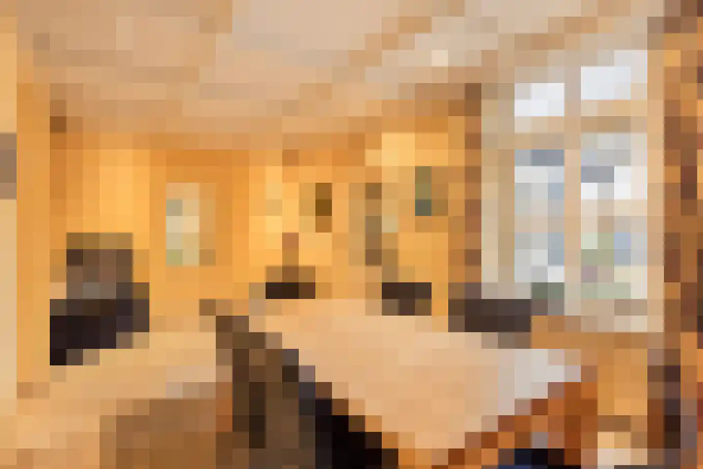 Hout oost 12 Geldrop thumbnail 12