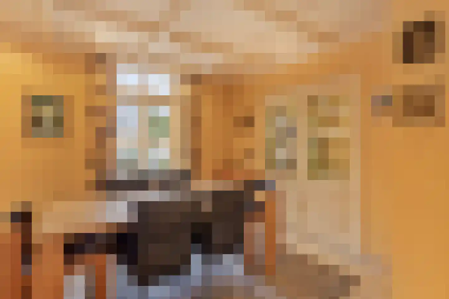Hout oost 12 Geldrop thumbnail 15
