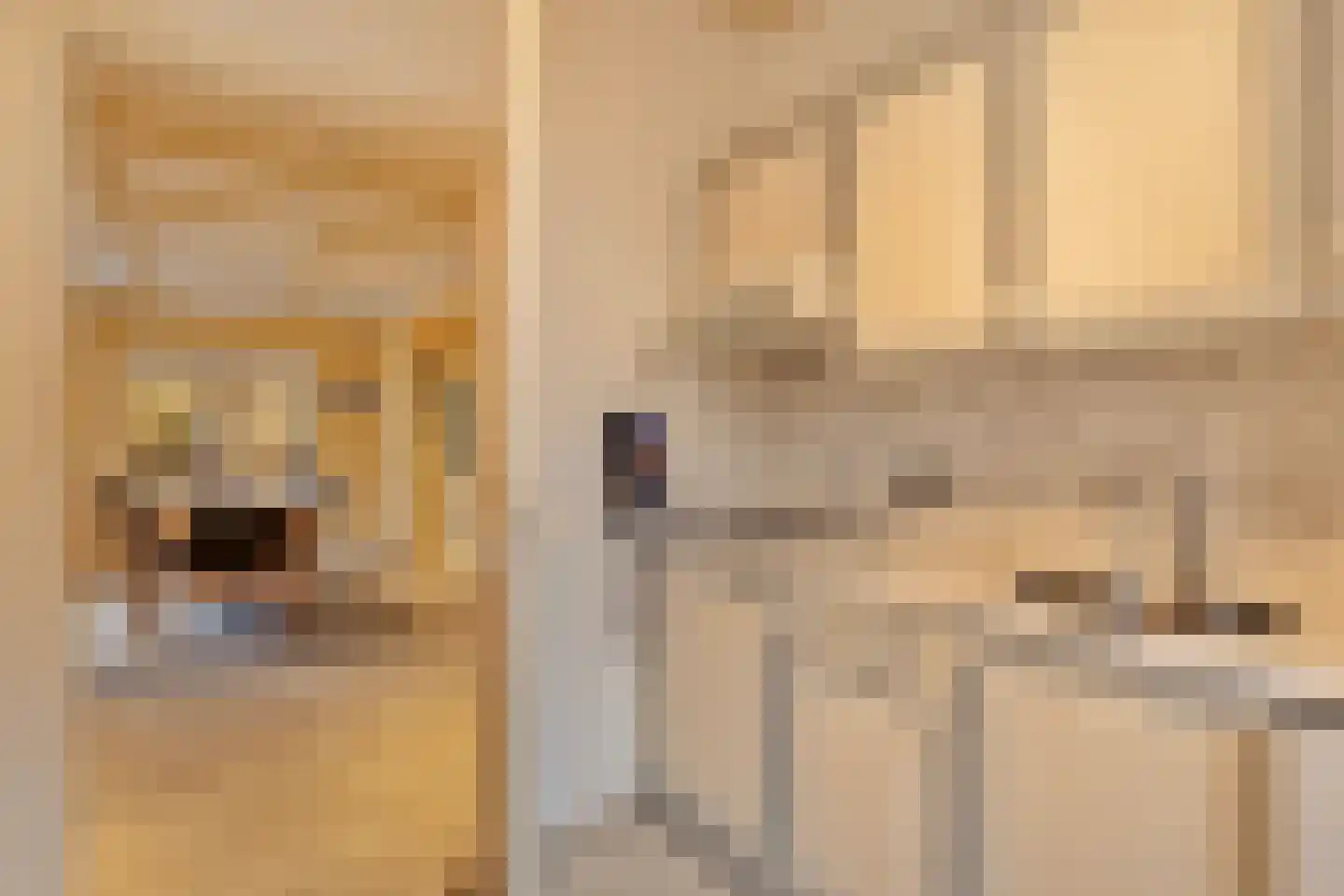 Hout oost 12 Geldrop thumbnail 20