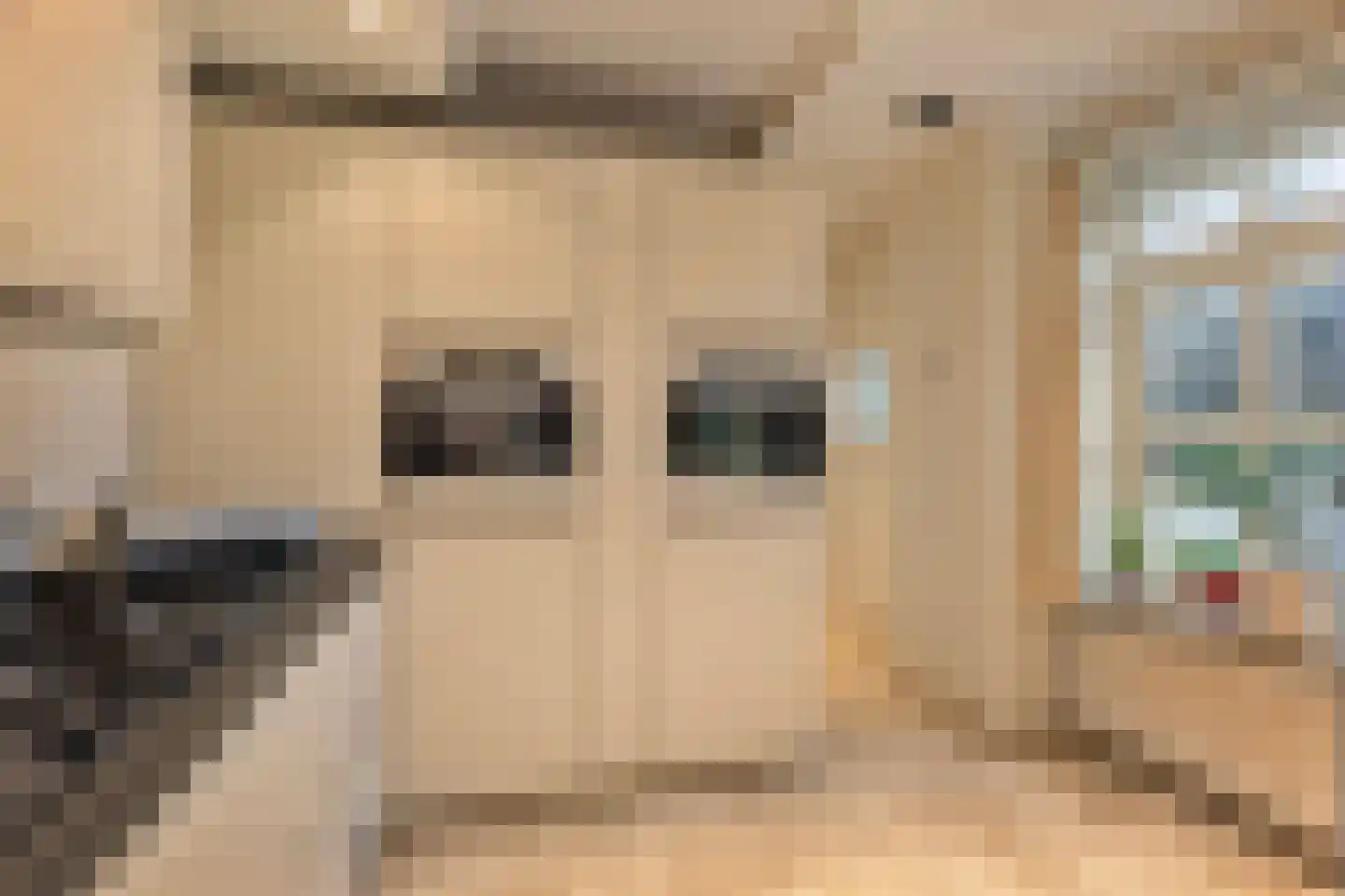 Hout oost 12 Geldrop thumbnail 25