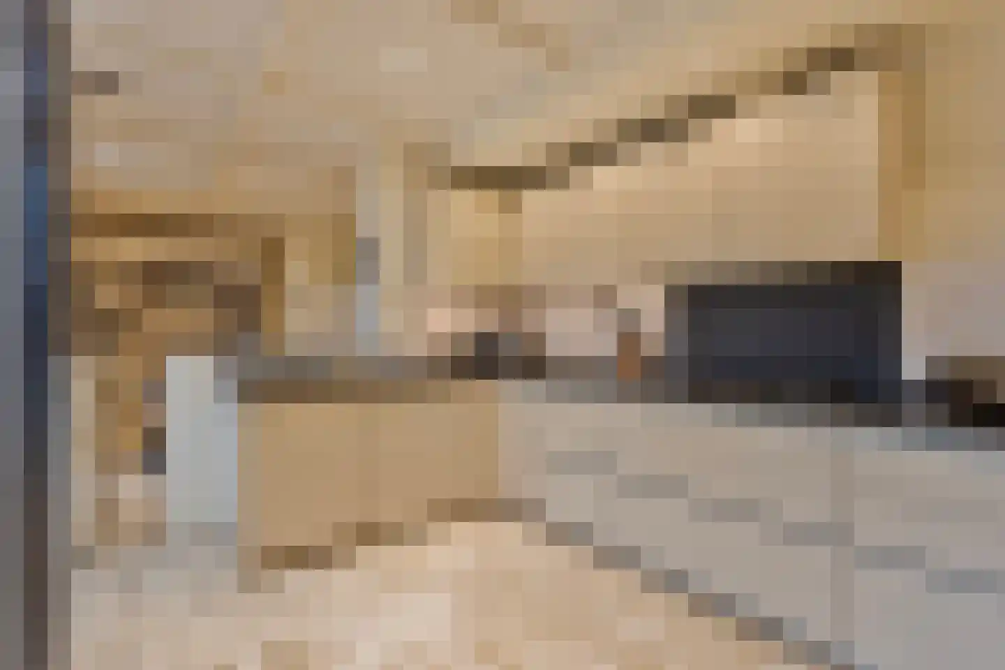 Hout oost 12 Geldrop thumbnail 26