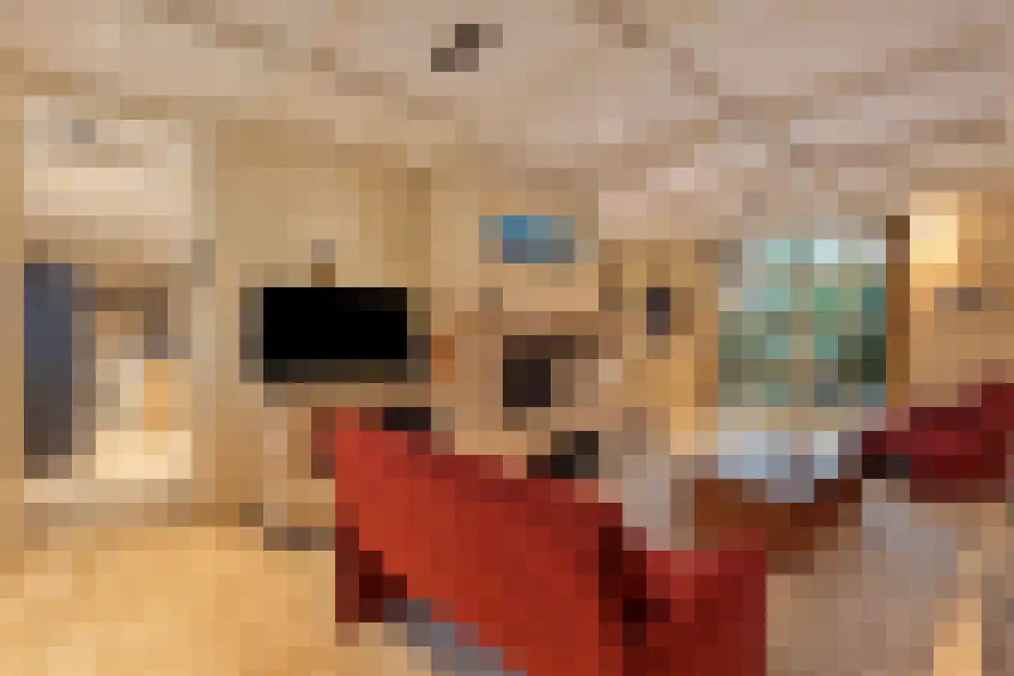 Hout oost 12 Geldrop thumbnail 32