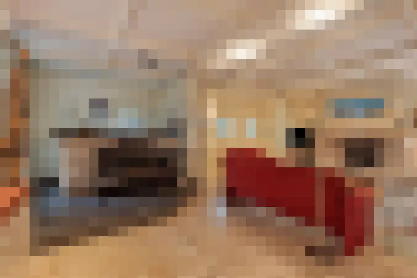 Hout oost 12 Geldrop thumbnail 37